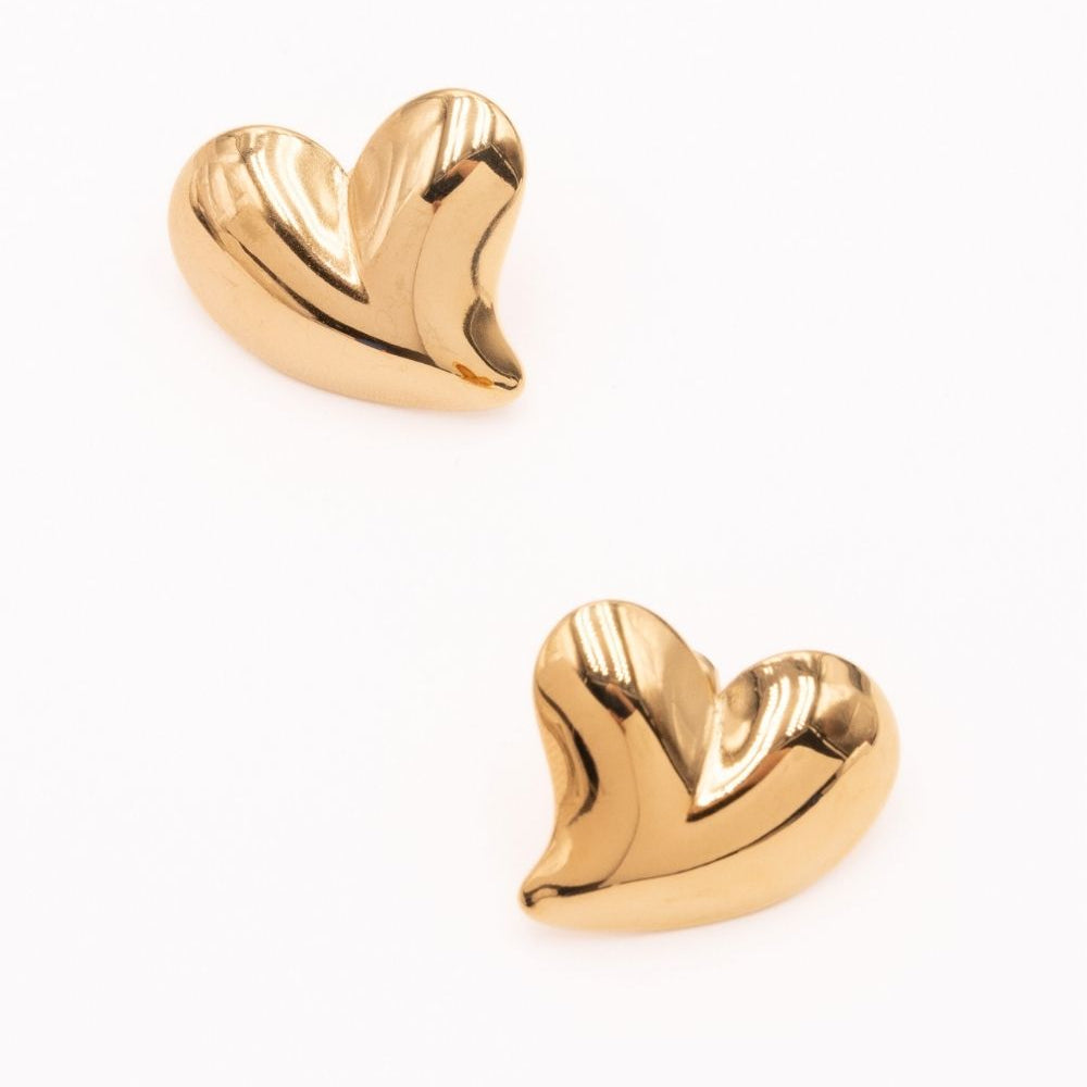 Boucles d'oreilles Acia