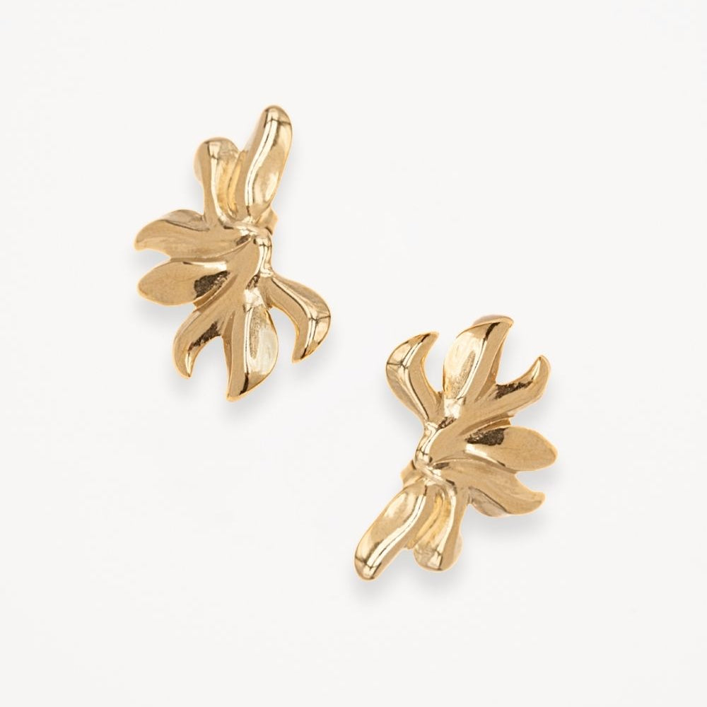 Boucles d'oreilles Jaden